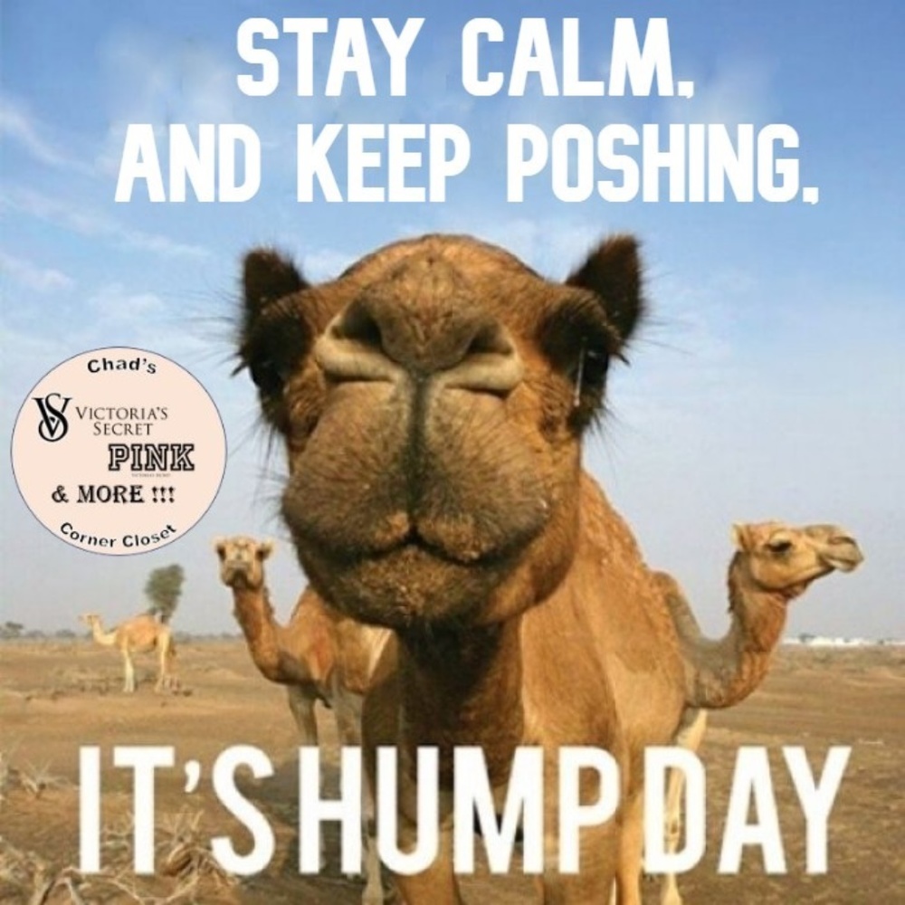 Thanks for stopping by !!!  Have a GREAT day !!!